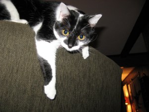 I'm so tired of the dark.