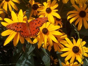 Day 38 -- a photo taken  in 2000 in Hershey, PA