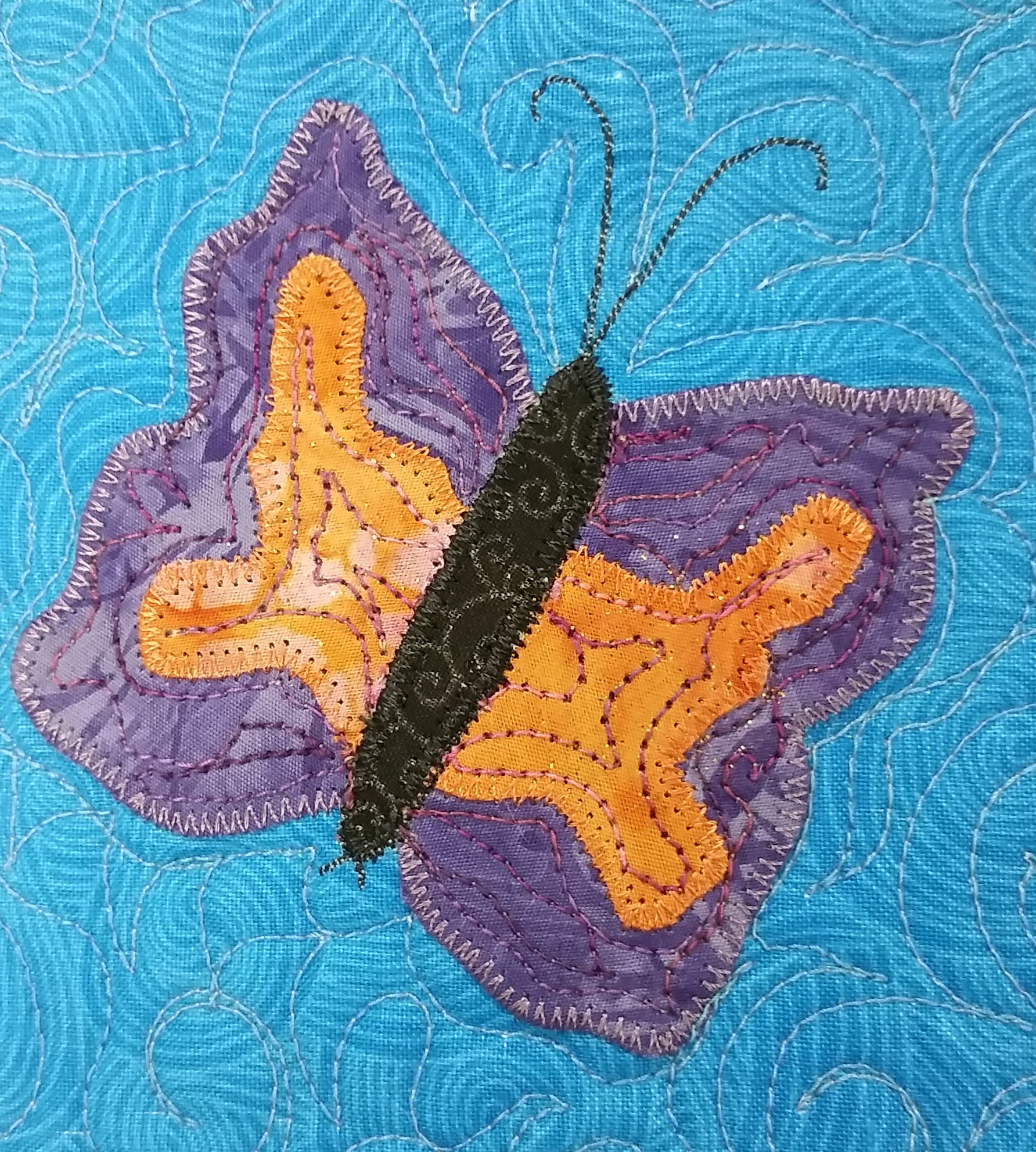 butterfly-close-up-2